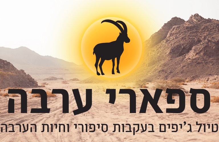 טיול ג'יפים בערבה